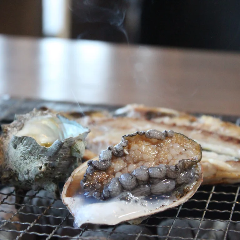 Senzakitchen Kitchen