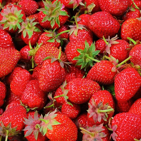 Soba Making Experience