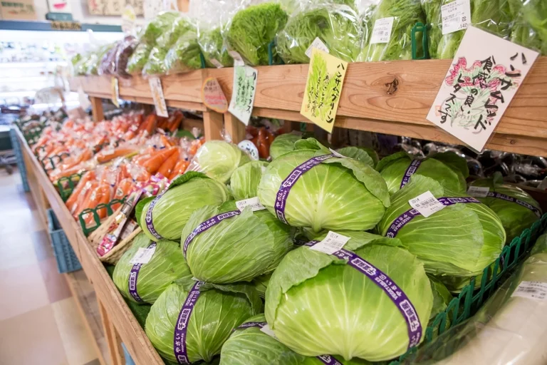 Fuwa-ri Shibayama - Image 3