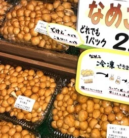 Abalone Mushroom Pack