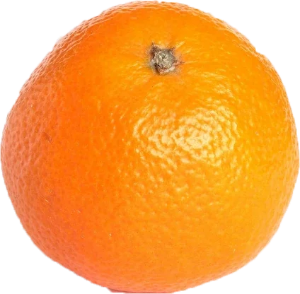 Kyushu Regional Snacks