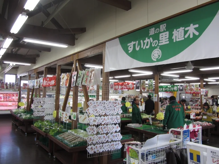 Suika no Sato Ueki - Image 3