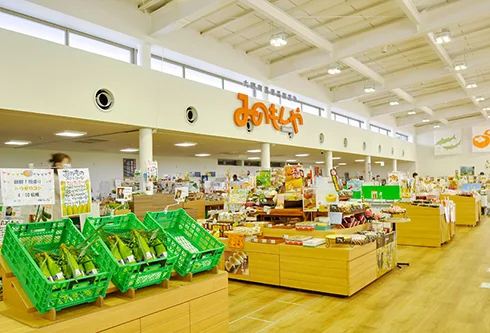 Palette Pia Ono - Image 3