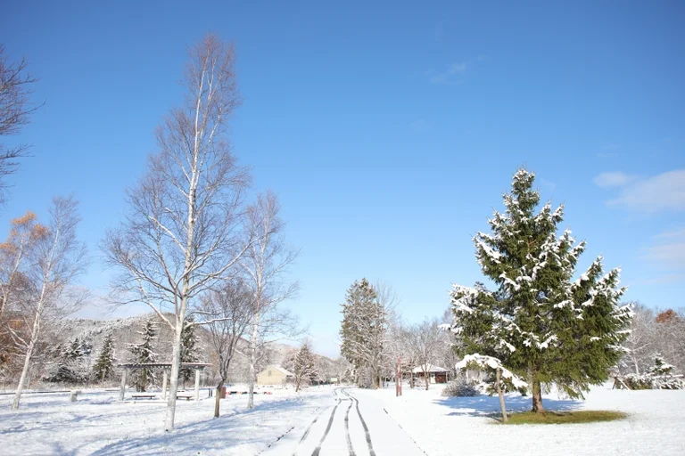 Pinneshiri - Image 2