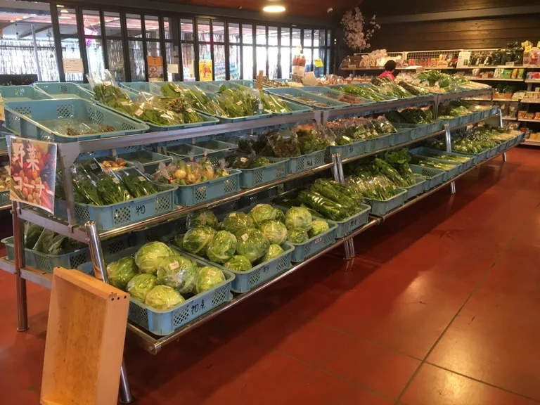 Takaradano Sato Saita - Image 2