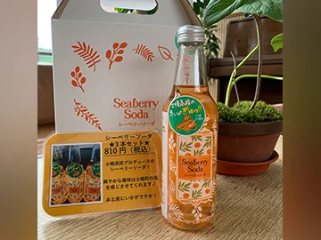 Seburi Soda