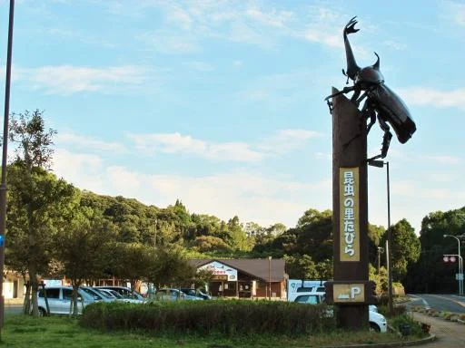 Insect Village Tabira - Image 2