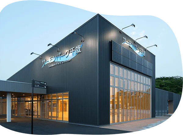 Salmon Park Chitose - Image 2