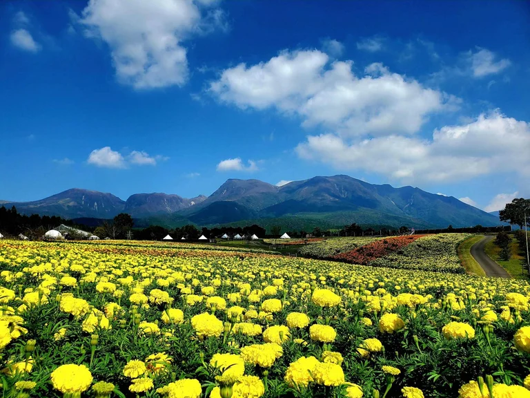 Sugou Local Specialty Stall