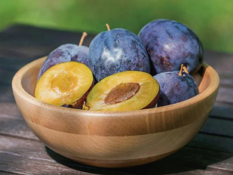 Bloomin Farmers Market