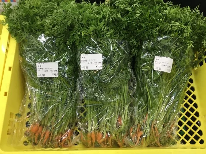 지역산 연어 스테이크용