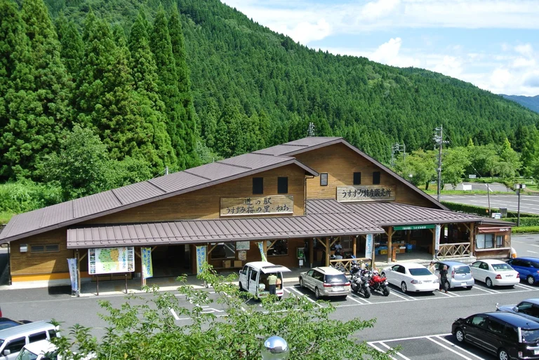 Usuzumi Cherry Blossom Village Neo - Image 2