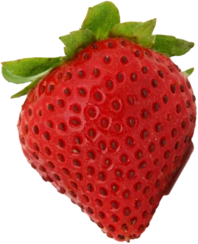 Rice Flour Ramen Noodles