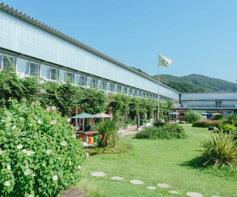 Hota Elementary School Craft Market