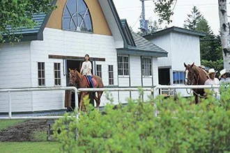 Riding Simulator Horse