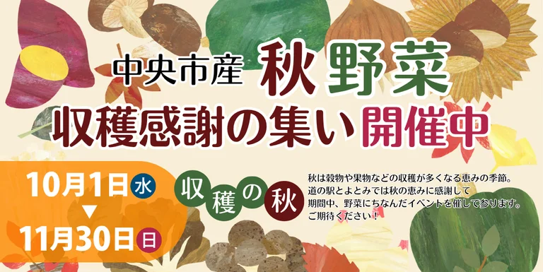 Seasonal Vegetables Box