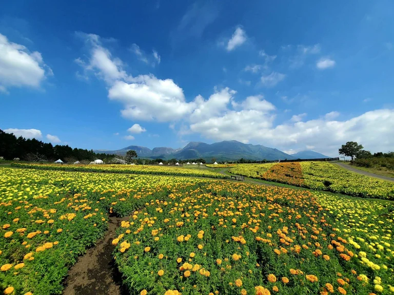 Sugou Farm Market Cafe