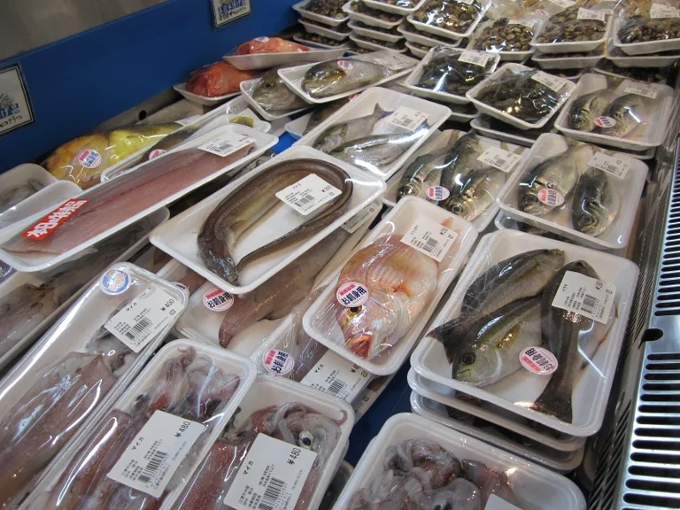 Sun Pico Gozu - Image 3