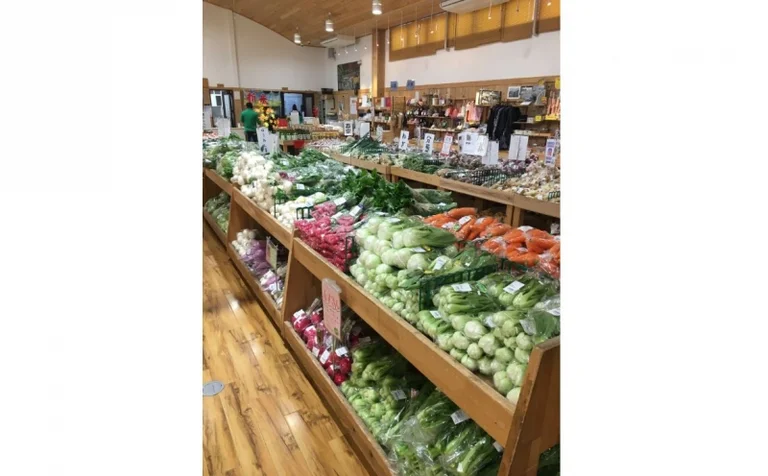 Kanyusha Hikosan - Image 3