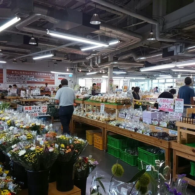 Mizunosato Sawara - Image 2