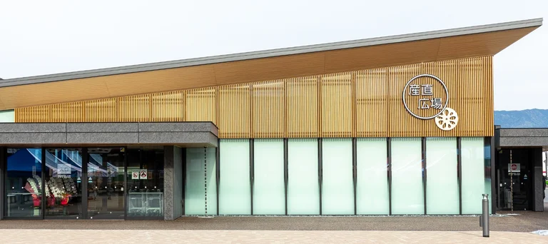 Lotus Root Light Meal Café