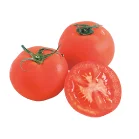 Fresh Tomatoes