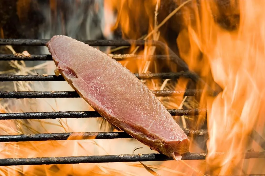 The traditional ipponzuri pole-fishing method preserved for nearly 400 years in Kurei fishing port