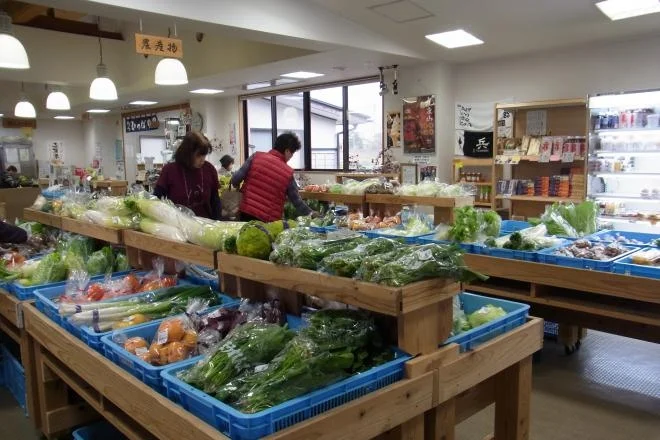 Koro-Gaki no Sato Shika - Image 2