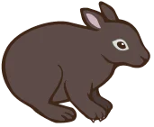 德之島農產市集