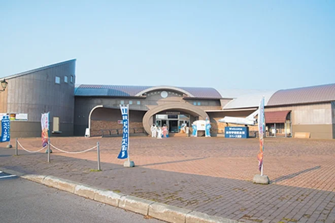 Space Apple Yoichi - Image 2