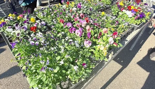 北海道陸別町特產物產