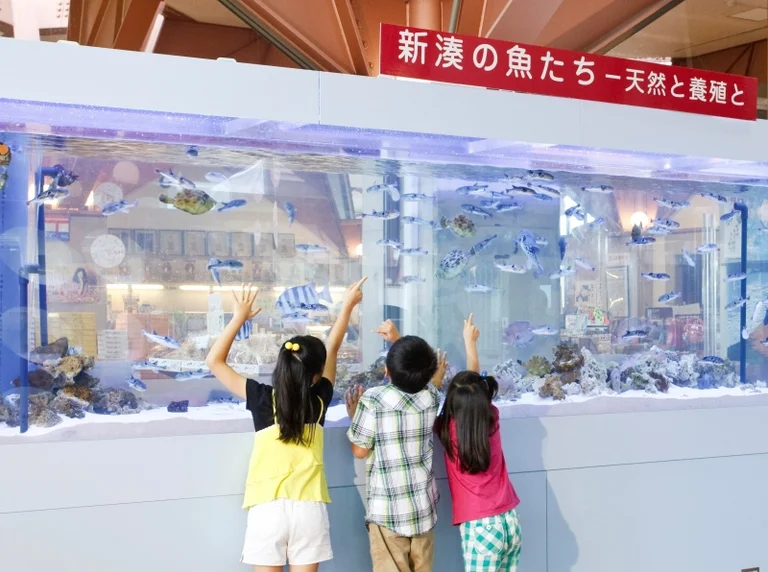 Camon Park Shinminato - Image 2