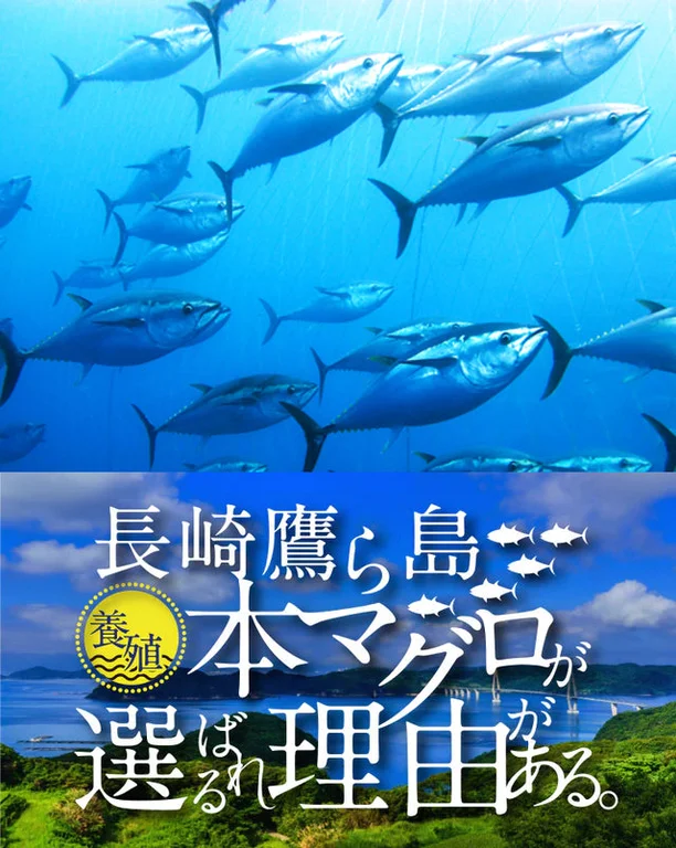 Takara Island Seafood Market