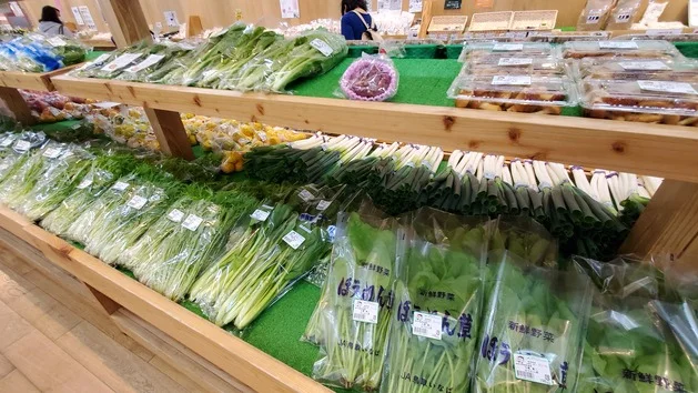 Iwami Sea Bass Fillet