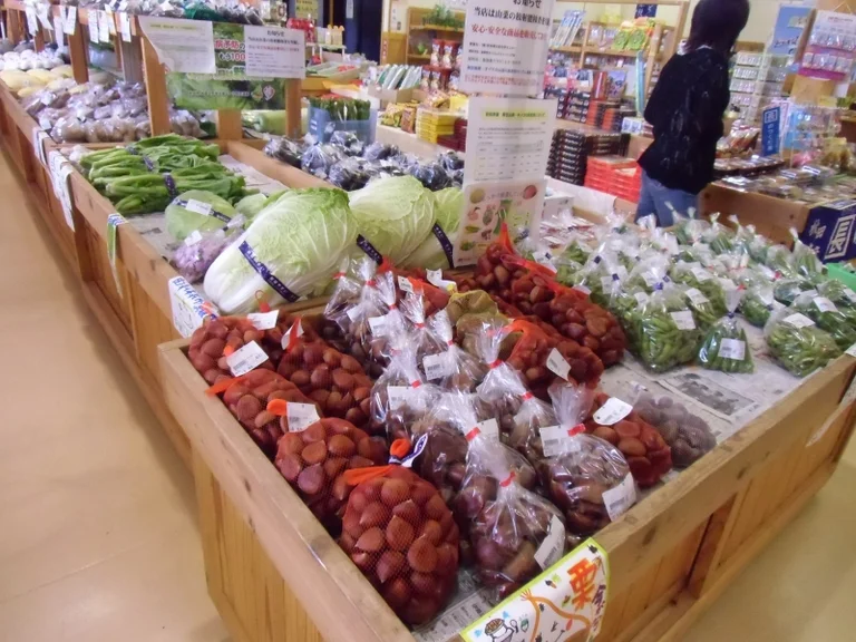 Shimizu no Sato Chokaigou - Image 3