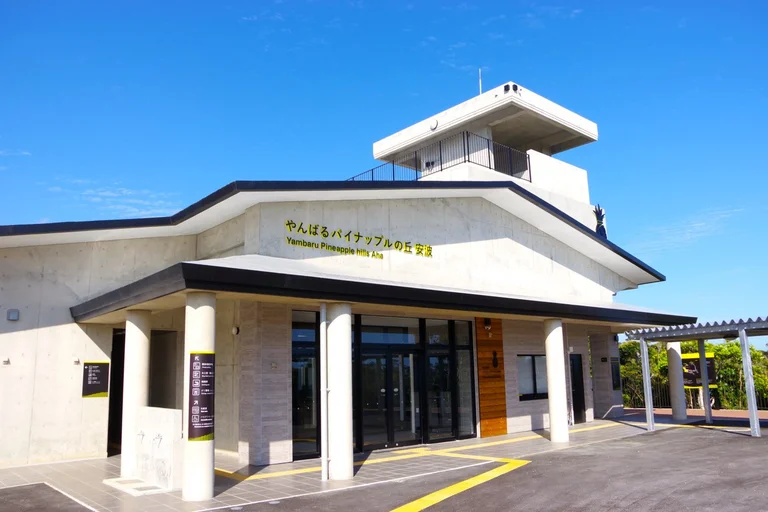 Yanbaru Pineapple no Oka Anpo
